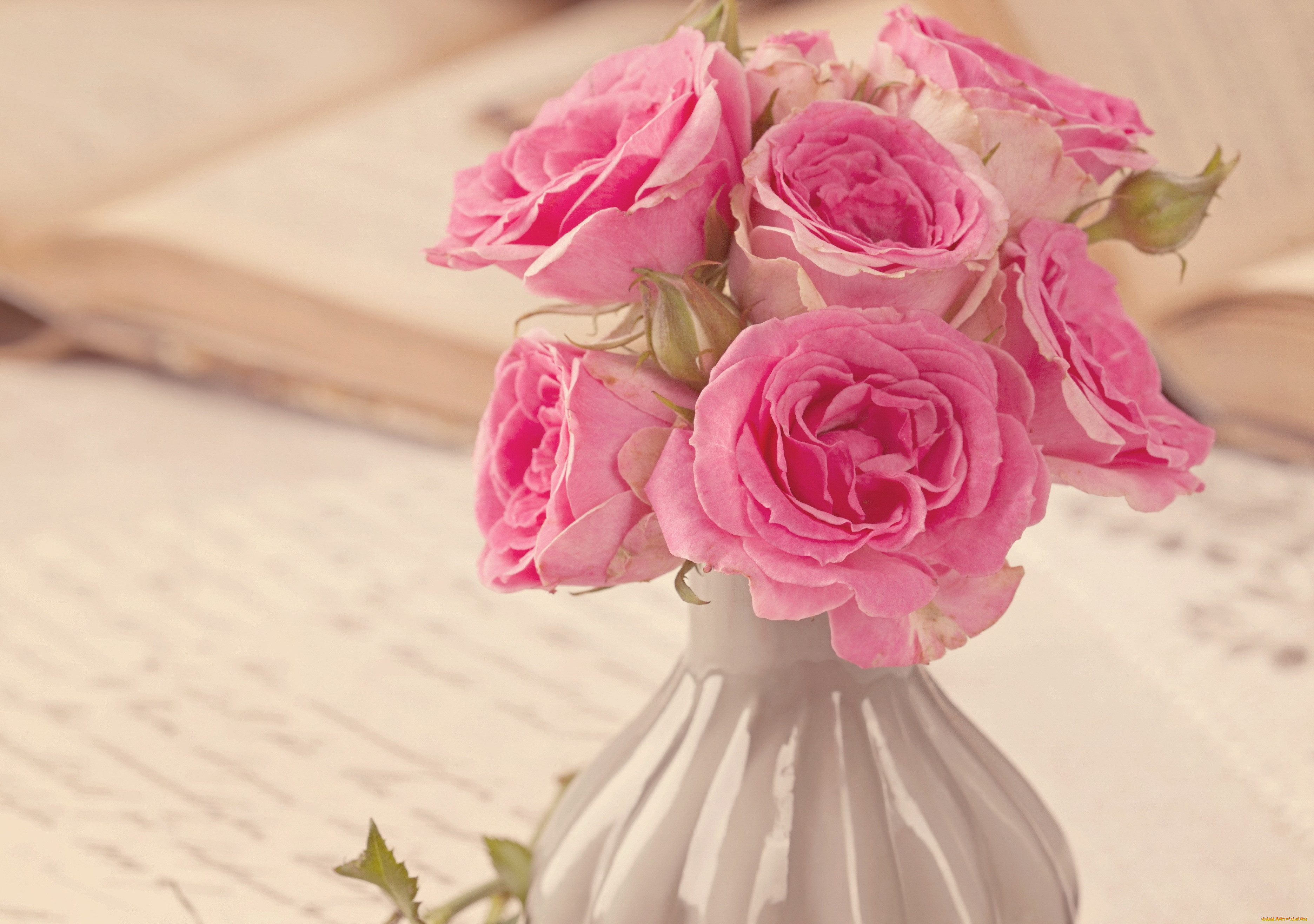 , , roses, , bouquet, flower, pink, style, vintage